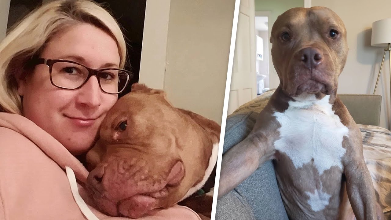 Woman Adopts That Was Dumped At Shelter And It Was The Best Decision 